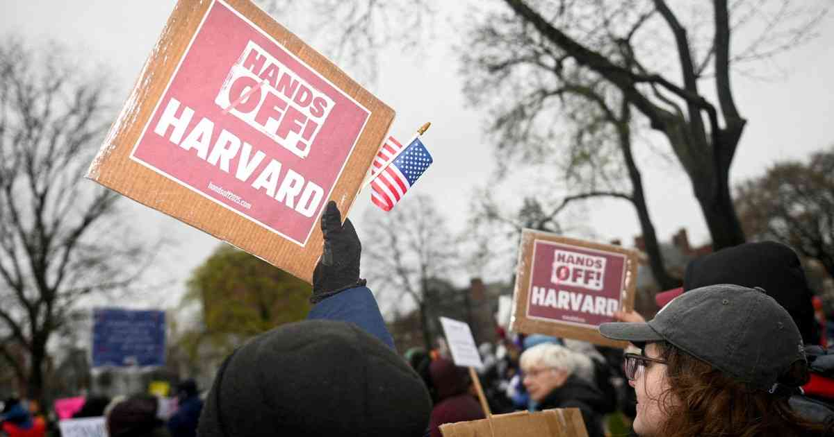 «Yo me quedo en casa, no salgo a ningún lado; es un peligro»: el duro relato de una investigadora argentina en Harvard, tras las amenazas de Donald Trump