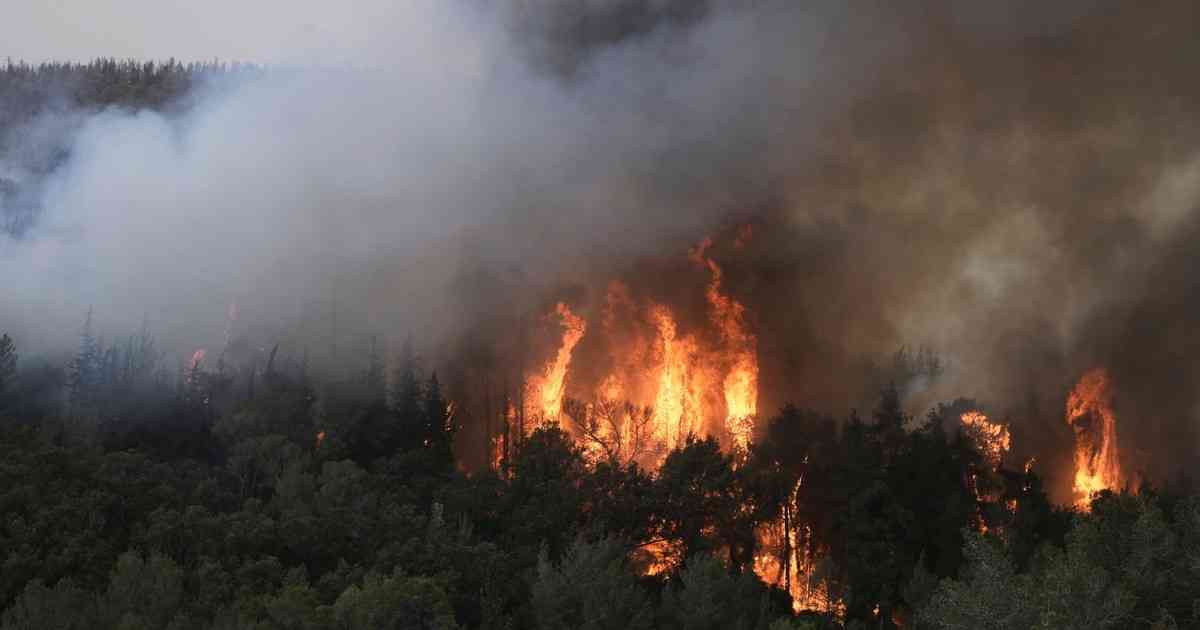 Incendios en Jerusalén: hay 18 detenidos y los bomberos aseguran que el fuego está bajo control